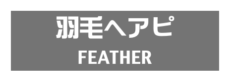 羽毛ヘアピ
FEATHER