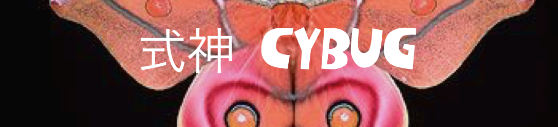 式神 CYBUG