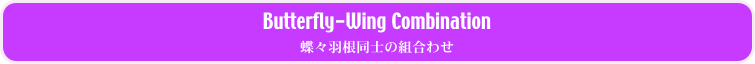 Butterfly-Wing Combination
蝶々羽根同士の組合わせ