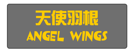 天使羽根 
Angel Wings